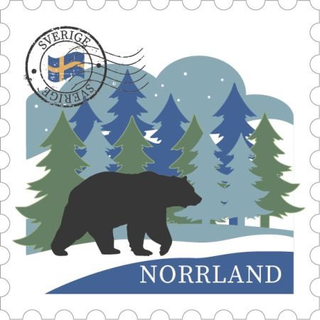 Trämagnet björn i skog